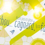 Ibis Styles Perpignan En Roussillon 酒店 卡内