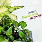 Ibis Styles Perpignan En Roussillon 酒店