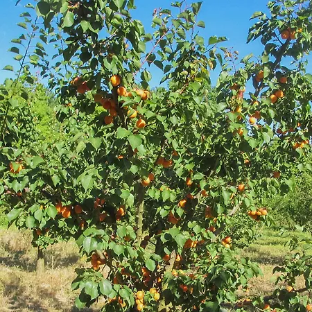 Ibis Styles Perpignan En Roussillon 3* Canet-en-Roussillon