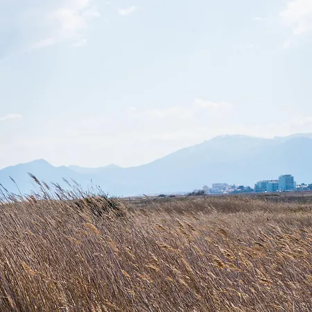 Ibis Styles Perpignan En Roussillon 3*