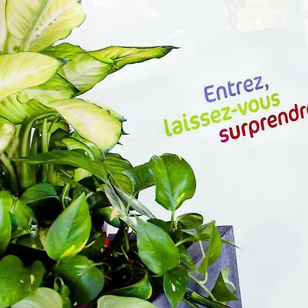 Ibis Styles Perpignan En Roussillon מלון