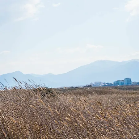 Hotel Ibis Styles Perpignan En Roussillon Canet-en-Roussillon