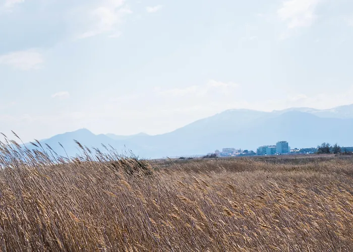 Ibis Styles Perpignan En Roussillon 3*