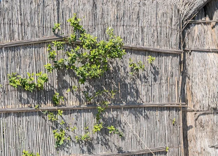 Hotel Ibis Styles Perpignan En Roussillon 3*